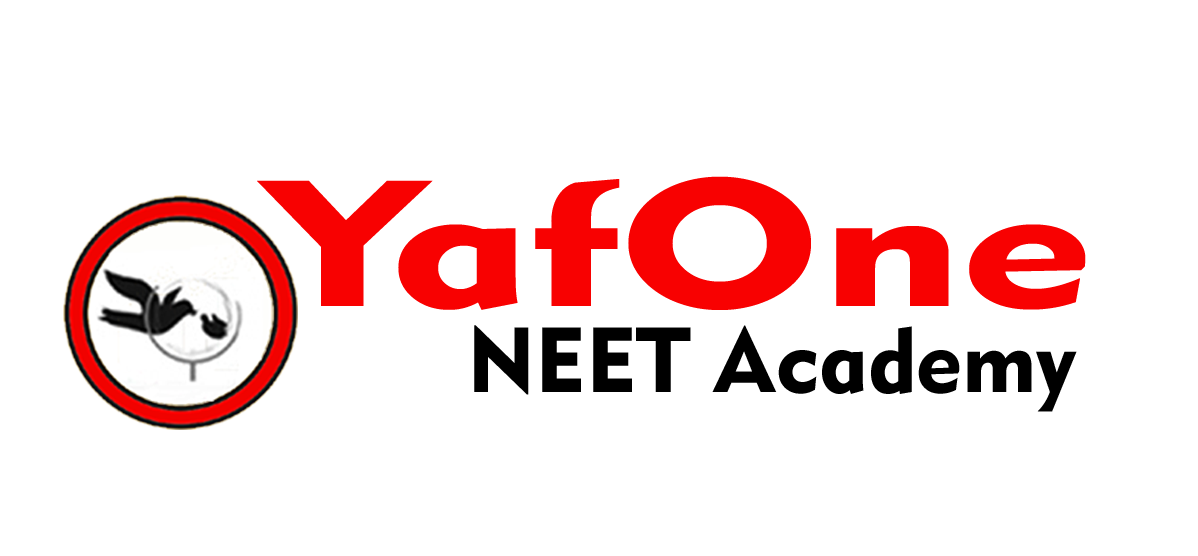 NEET Exam System Logo